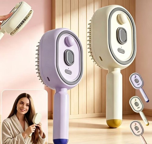 Rechargeable electric steam - electric,